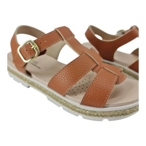 991895311 1754327903446.jpg TERRACOTA