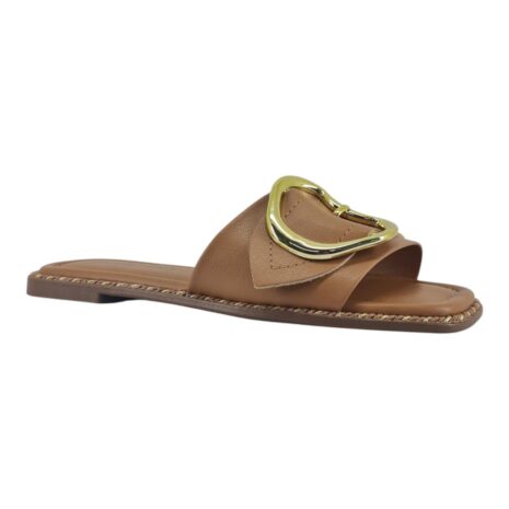 991609 1756731249059.jpg CAMEL