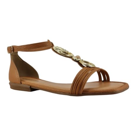 995369 1759149478837.jpg CAMEL