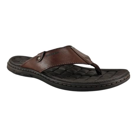 9829810 1737662734106.jpg PINHÃO