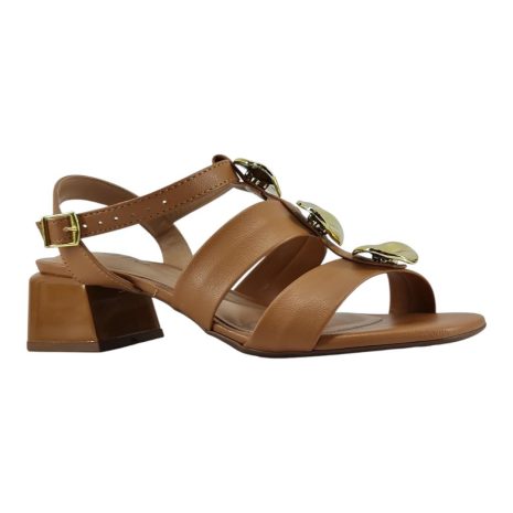 992349 1759430805068.jpg CAMEL