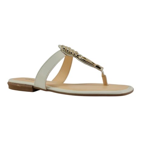 99367443 1759238889162.jpg GELO