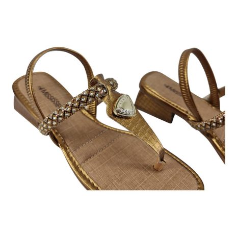 99381272 1759341849319.jpg BRONZE