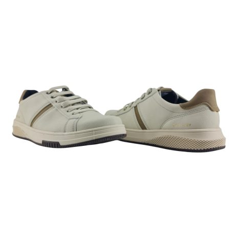 997074691 1762283979989.jpg MILK