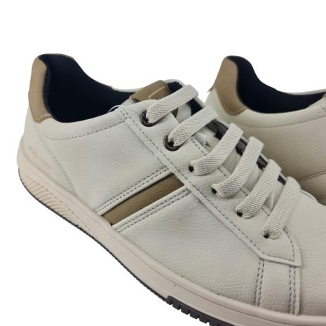 997074691 1762283980927.jpg MILK