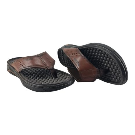 9972210 1762347690798.jpg PINHÃO