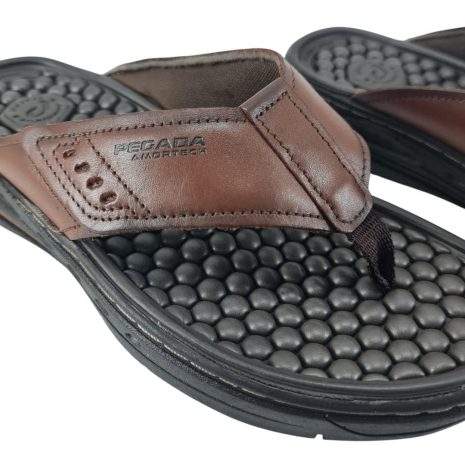 9972210 1762347691596.jpg PINHÃO