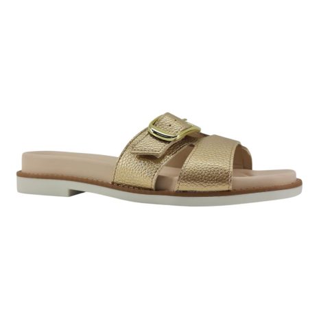 99784413 1763148335775.jpg DOURADO