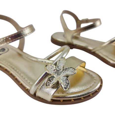 99925413 1765631599441.jpg DOURADO