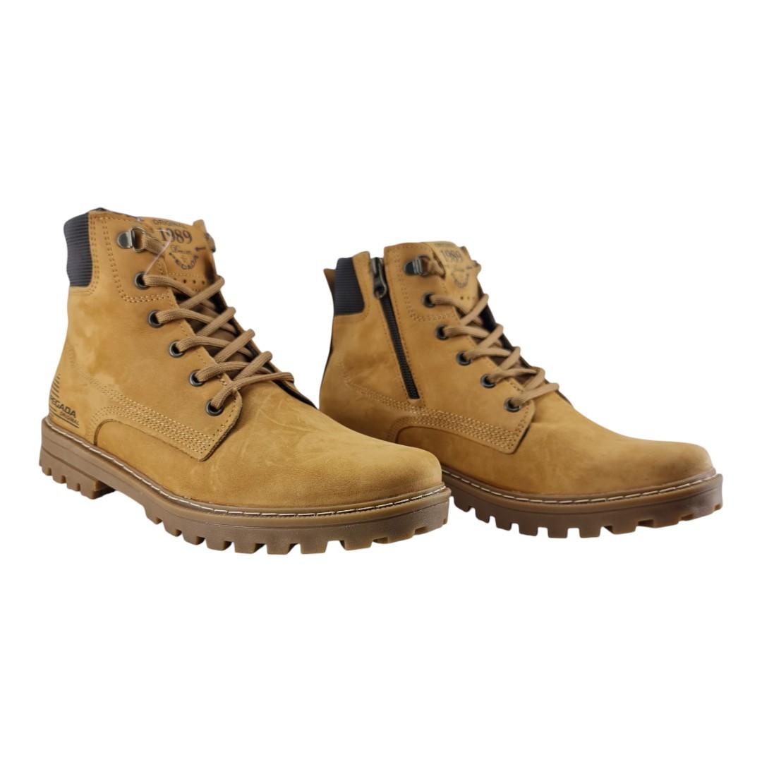 100287466 326 1778531202310.jpg HAVANA-BROWN