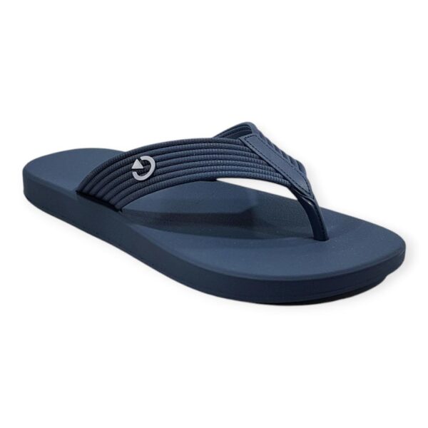 chinelo masculino cartago