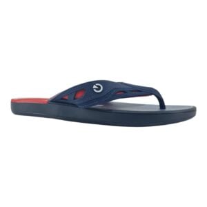 chinelo masculino cartago