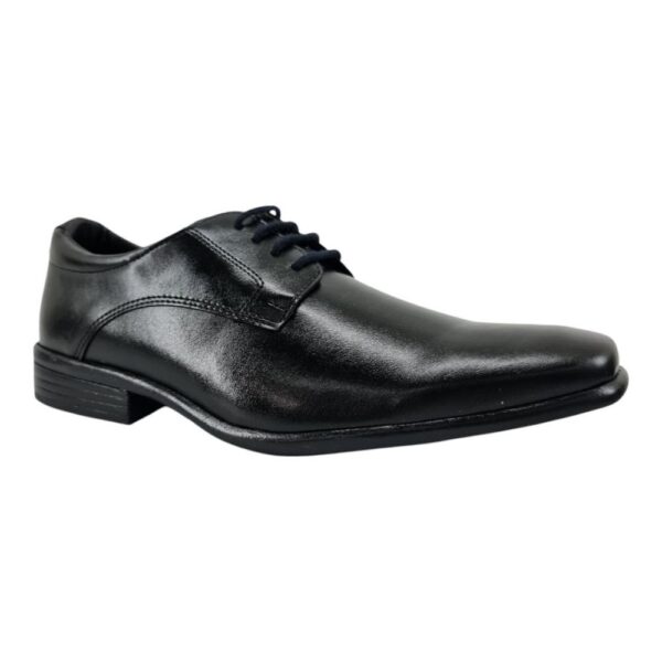 sapato masculino ped shoes