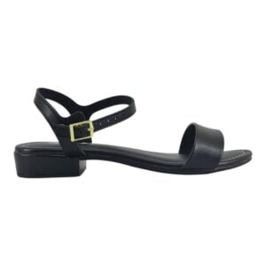 import placeholder for 12065