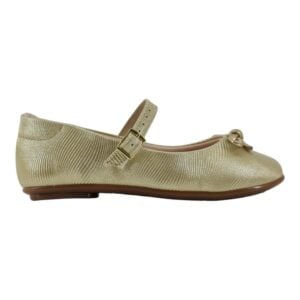 import placeholder for 25500