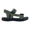 import placeholder for 24551